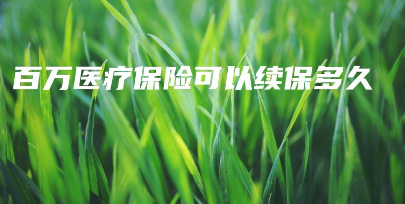 百万医疗保险可以续保多久-PLB