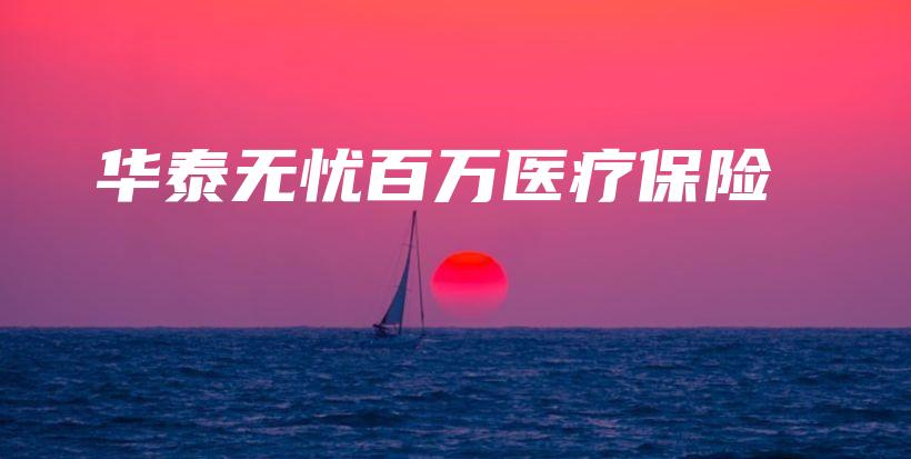 华泰无忧百万医疗保险-PLB