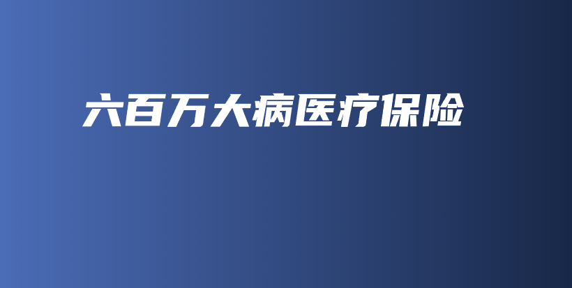 六百万大病医疗保险-PLB