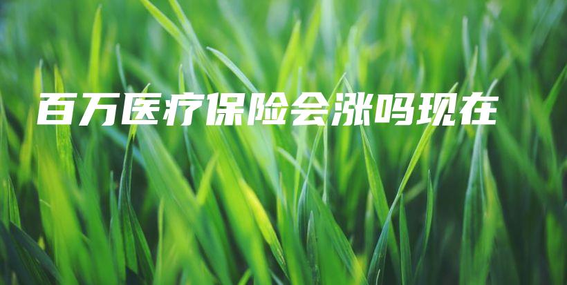 百万医疗保险会涨吗现在-PLB