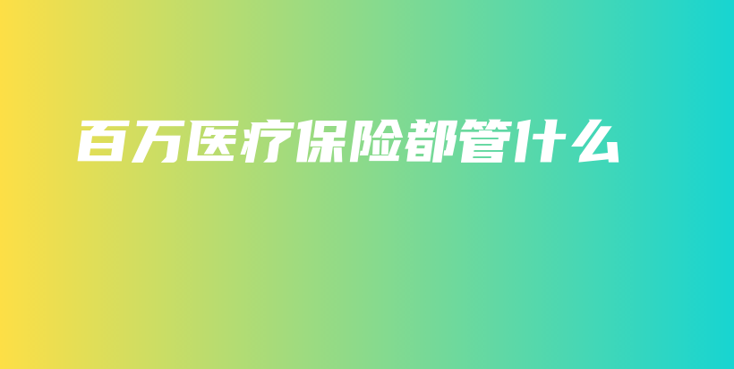百万医疗保险都管什么-PLB
