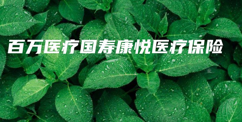 百万医疗国寿康悦医疗保险-PLB