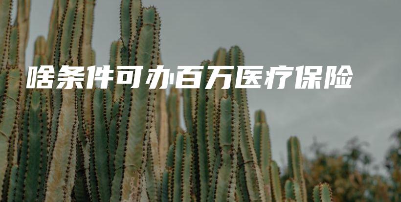 啥条件可办百万医疗保险-PLB