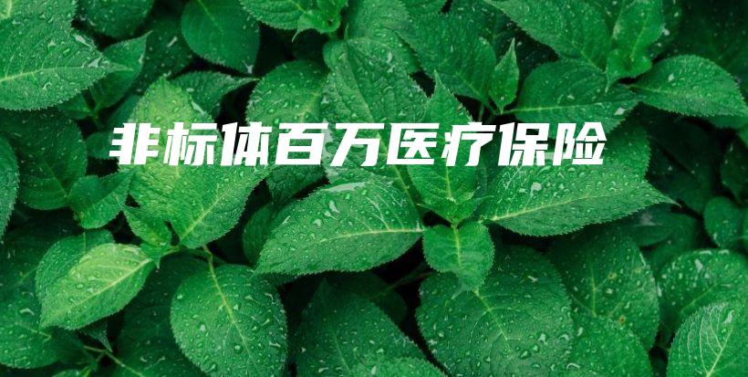 非标体百万医疗保险-PLB