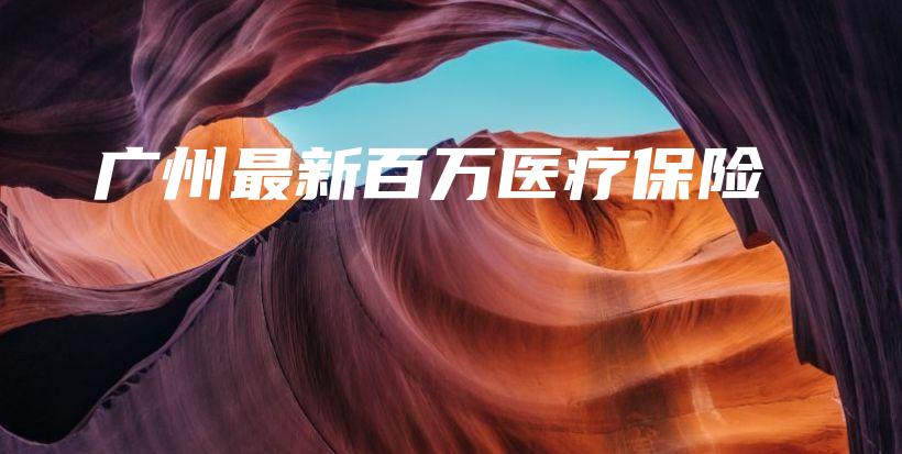 广州最新百万医疗保险-PLB