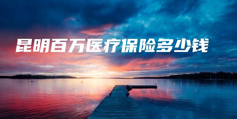 昆明百万医疗保险多少钱-PLB
