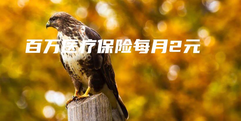 百万医疗保险每月2元-PLB