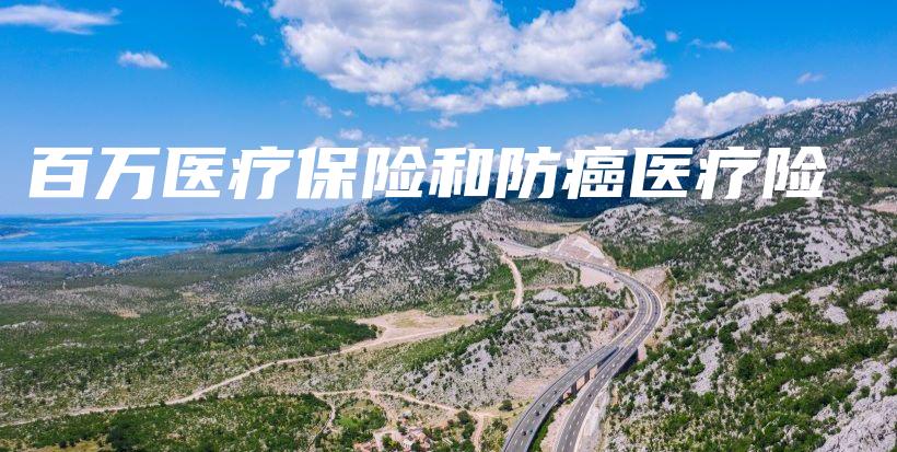 百万医疗保险和防癌医疗险-PLB