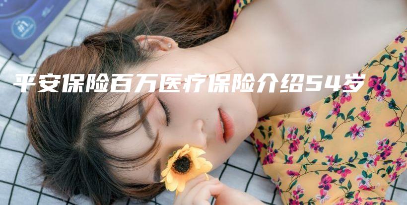 平安保险百万医疗保险介绍54岁-PLB