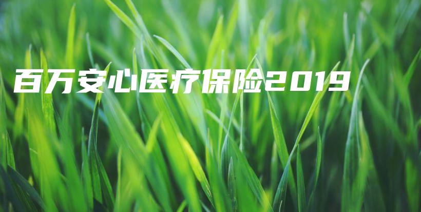 百万安心医疗保险2019-PLB