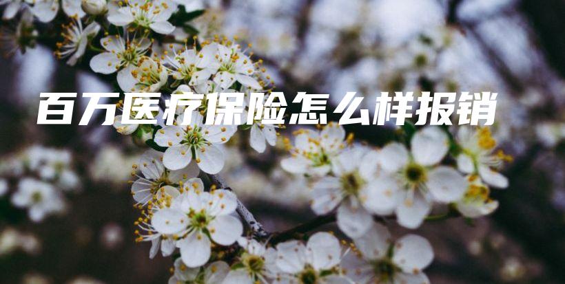 百万医疗保险怎么样报销-PLB