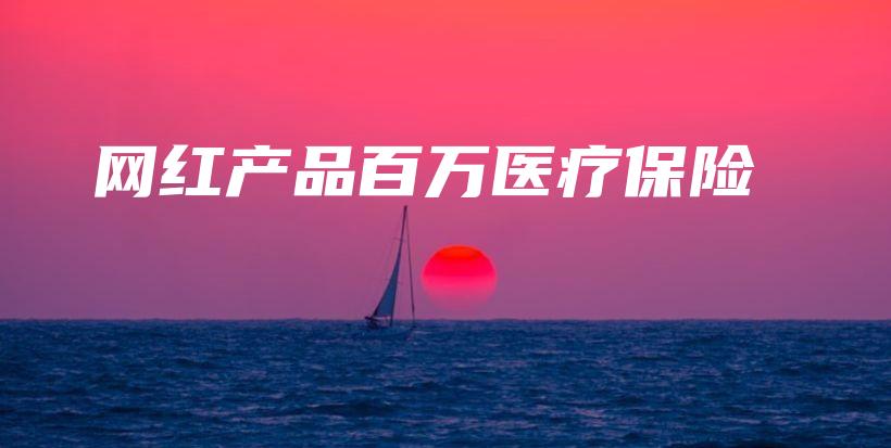 网红产品百万医疗保险-PLB