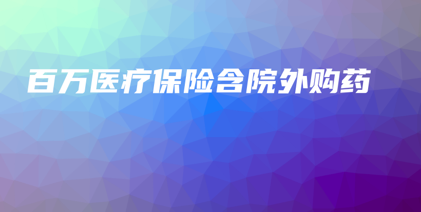 百万医疗保险含院外购药-PLB