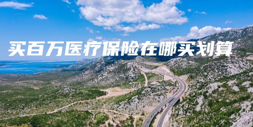 买百万医疗保险在哪买划算-PLB