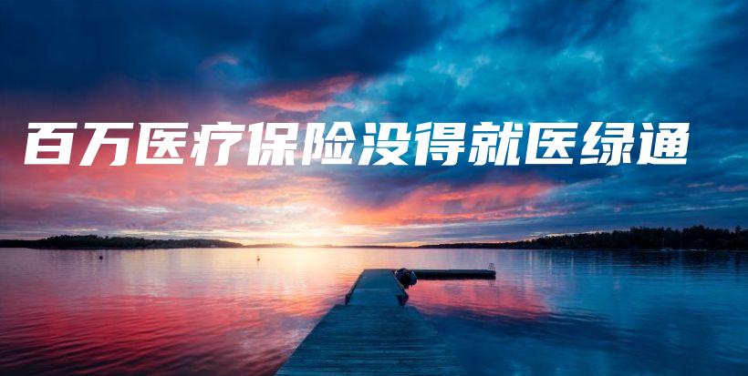 百万医疗保险没得就医绿通-PLB
