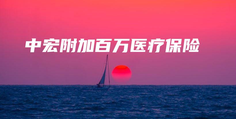 中宏附加百万医疗保险-PLB