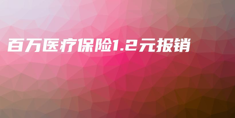 百万医疗保险1.2元报销-PLB