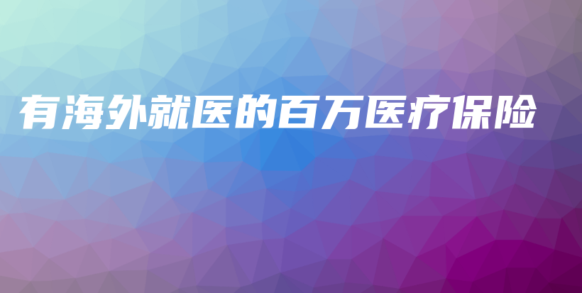 有海外就医的百万医疗保险-PLB