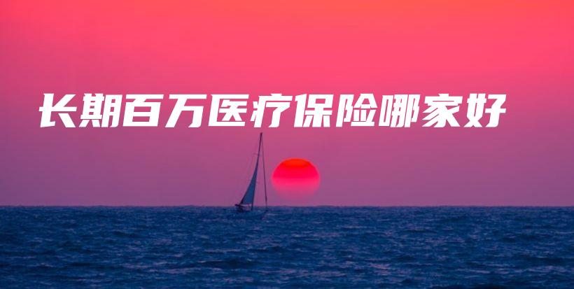 长期百万医疗保险哪家好-PLB