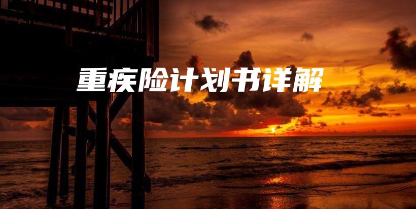 重疾险计划书详解-PLB