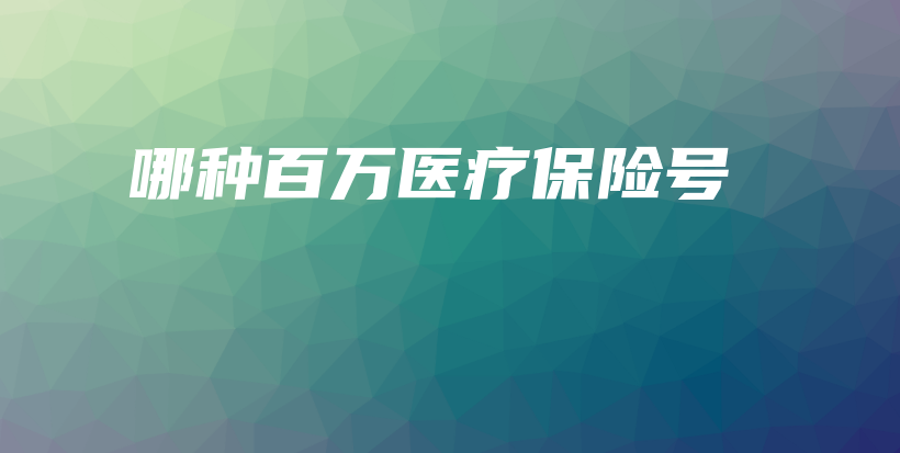 哪种百万医疗保险号-PLB