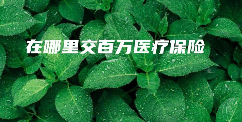 在哪里交百万医疗保险-PLB