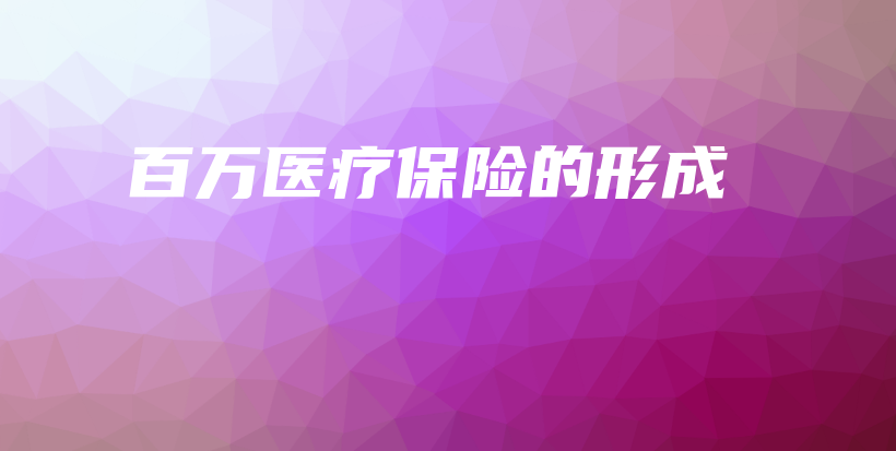 百万医疗保险的形成-PLB