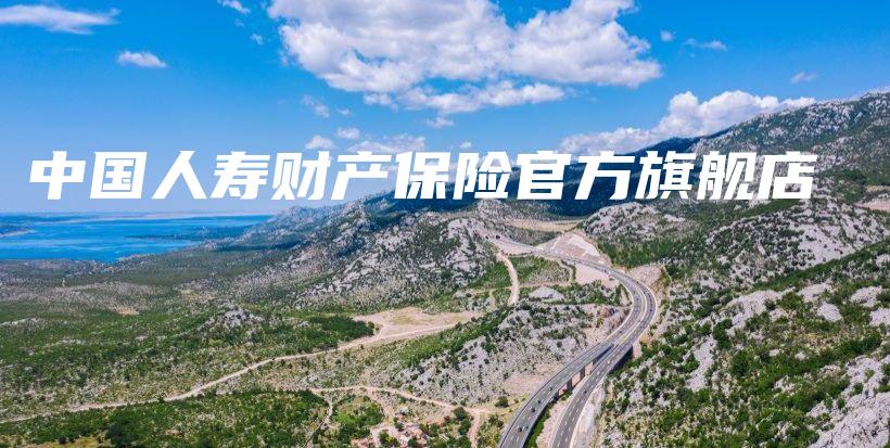 中国人寿财产保险官方旗舰店-PLB