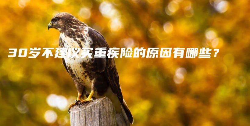 30岁不建议买重疾险的原因有哪些？-PLB