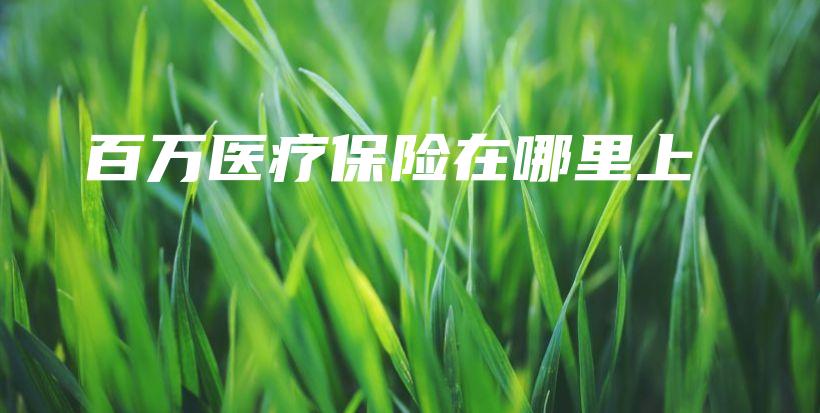 百万医疗保险在哪里上-PLB
