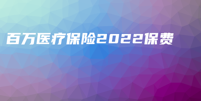 百万医疗保险2022保费-PLB