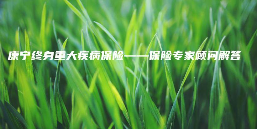 康宁终身重大疾病保险——保险专家顾问解答-PLB