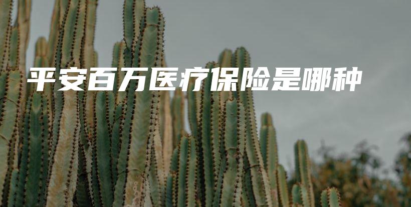 平安百万医疗保险是哪种-PLB