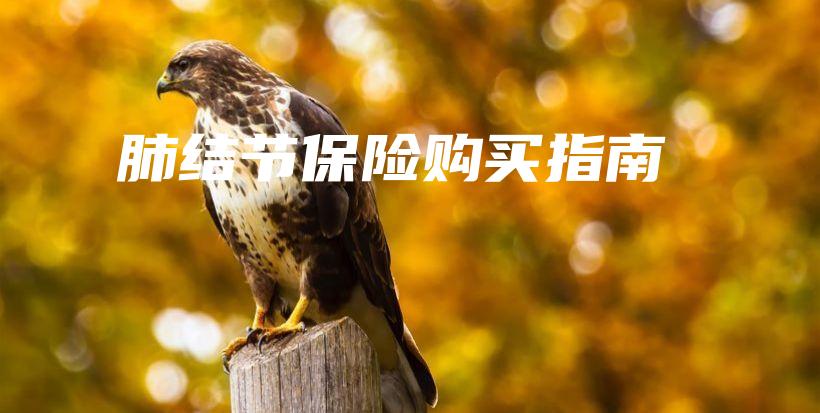 肺结节保险购买指南-PLB