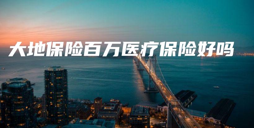 大地保险百万医疗保险好吗-PLB