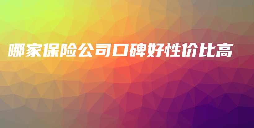 哪家保险公司口碑好性价比高-PLB