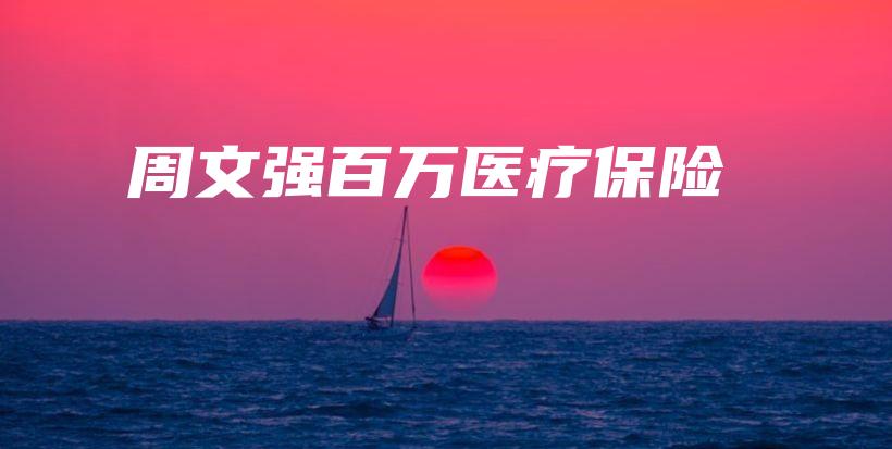 周文强百万医疗保险-PLB