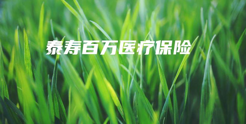 泰寿百万医疗保险-PLB