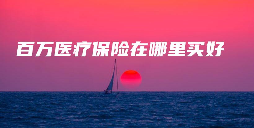百万医疗保险在哪里买好-PLB