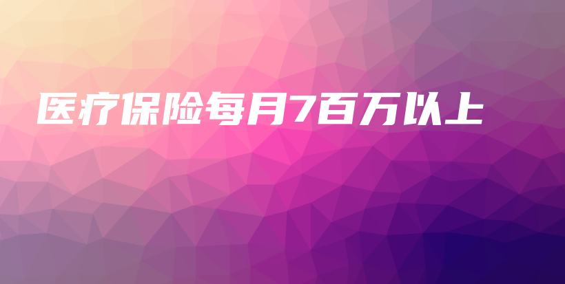 医疗保险每月7百万以上-PLB
