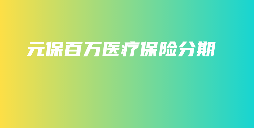 元保百万医疗保险分期-PLB