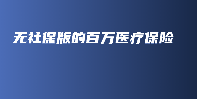 无社保版的百万医疗保险-PLB