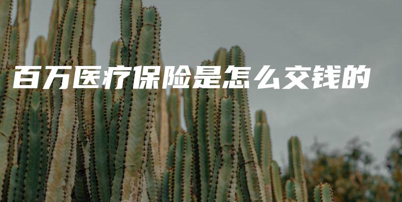 百万医疗保险是怎么交钱的-PLB