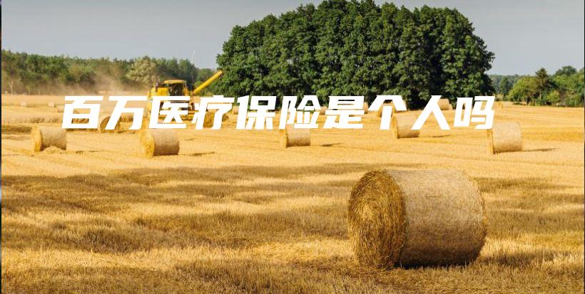 百万医疗保险是个人吗-PLB
