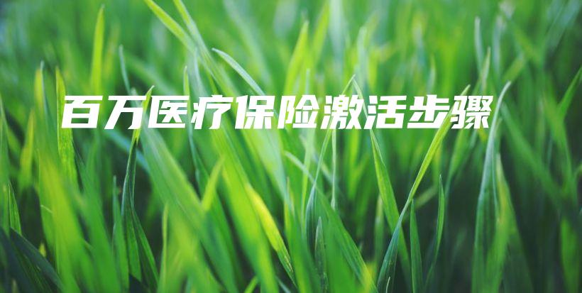 百万医疗保险激活步骤-PLB