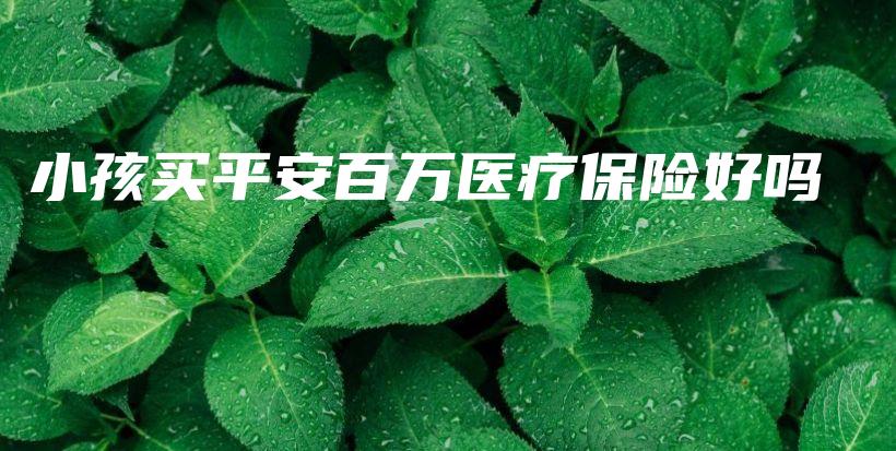 小孩买平安百万医疗保险好吗-PLB