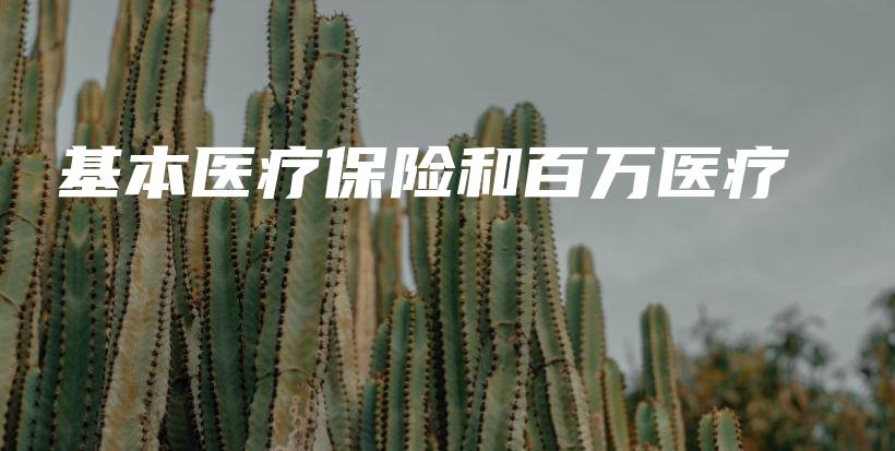 基本医疗保险和百万医疗-PLB