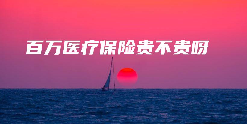 百万医疗保险贵不贵呀-PLB