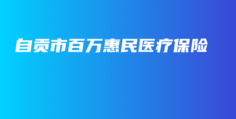 自贡市百万惠民医疗保险-PLB