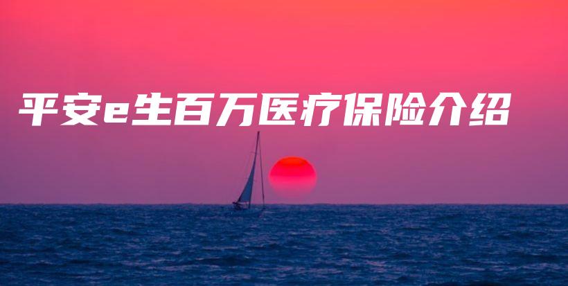 平安e生百万医疗保险介绍-PLB